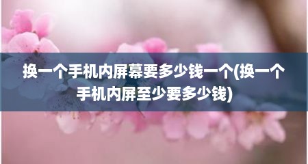 换一个手机内屏幕要多少钱一个(换一个手机内屏至少要多少钱)