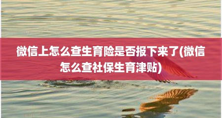 微信上怎么查生育险是否报下来了(微信怎么查社保生育津贴)