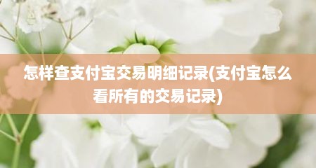 怎样查支付宝交易明细记录(支付宝怎么看所有的交易记录)