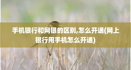 手机银行和网银的区别,怎么开通(网上银行用手机怎么开通)