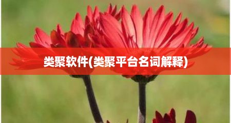 类聚软件(类聚平台名词解释)