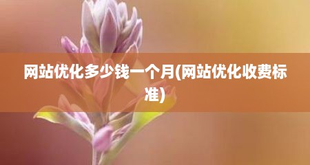网站优化多少钱一个月(网站优化收费标准)