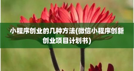 小程序创业的几种方法(微信小程序创新创业项目计划书)