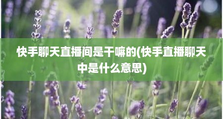 快手聊天直播间是干嘛的(快手直播聊天中是什么意思)