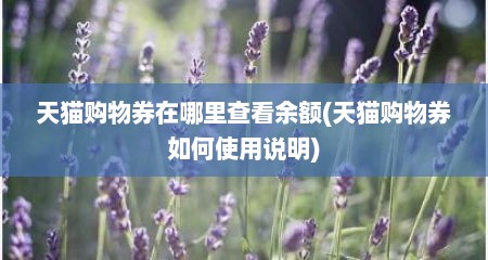 天猫购物券在哪里查看余额(天猫购物券如何使用说明)