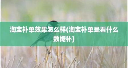 淘宝补单效果怎么样(淘宝补单是看什么数据补)