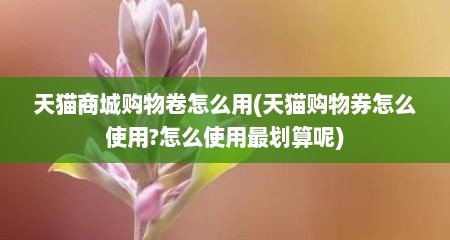 天猫商城购物卷怎么用(天猫购物券怎么使用?怎么使用最划算呢)