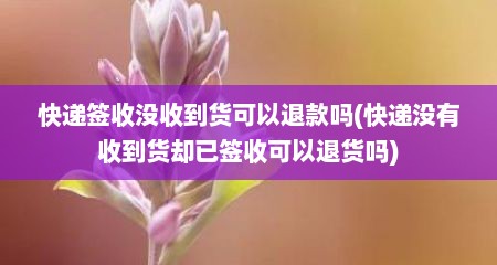 快递签收没收到货可以退款吗(快递没有收到货却已签收可以退货吗)