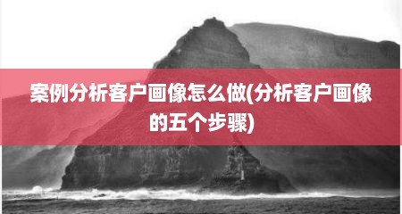 案例分析客户画像怎么做(分析客户画像的五个步骤)