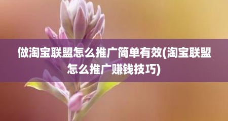做淘宝联盟怎么推广简单有效(淘宝联盟怎么推广赚钱技巧)
