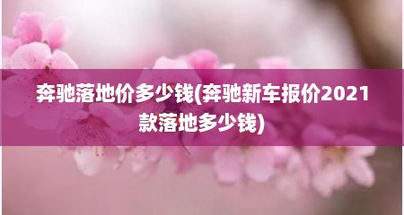 奔驰落地价多少钱(奔驰新车报价2021款落地多少钱)