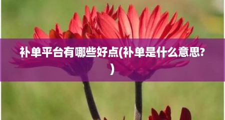 补单平台有哪些好点(补单是什么意思?)