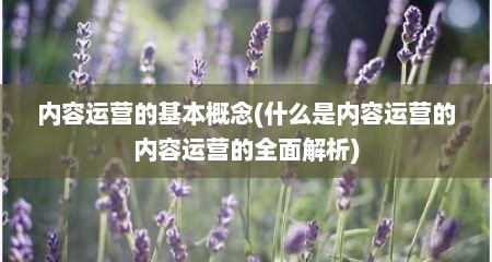 内容运营的基本概念(什么是内容运营的内容运营的全面解析)
