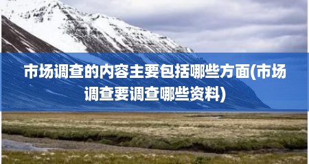 市场调查的内容主要包括哪些方面(市场调查要调查哪些资料)