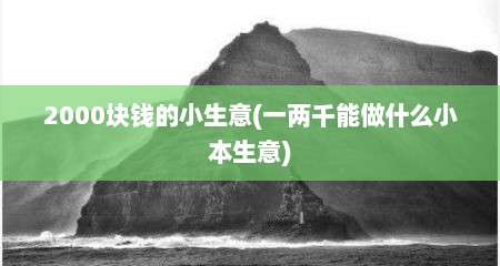 2000块钱的小生意(一两千能做什么小本生意)