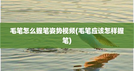 毛笔怎么握笔姿势视频(毛笔应该怎样握笔)