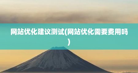 网站优化建议测试(网站优化需要费用吗)