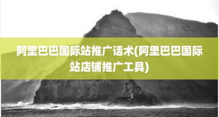阿里巴巴国际站推广话术(阿里巴巴国际站店铺推广工具)