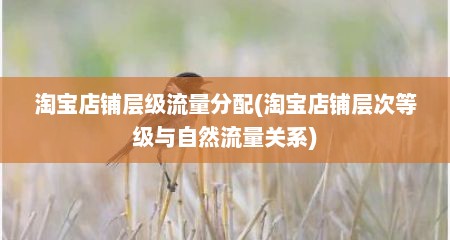 淘宝店铺层级流量分配(淘宝店铺层次等级与自然流量关系)