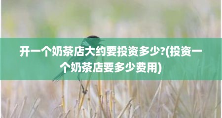 开一个奶茶店大约要投资多少?(投资一个奶茶店要多少费用)