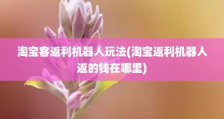 淘宝客返利机器人玩法(淘宝返利机器人返的钱在哪里)