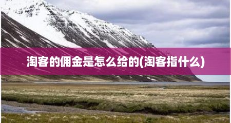 淘客的佣金是怎么给的(淘客指什么)