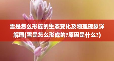 雪是怎么形成的生态变化及物理现象详解图(雪是怎么形成的?原因是什么?)