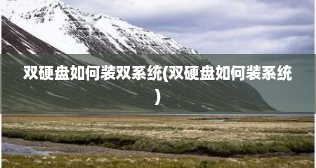 双硬盘如何装双系统(双硬盘如何装系统)