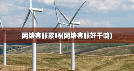 网络客服累吗(网络客服好干嘛)