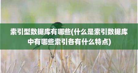 索引型数据库有哪些(什么是索引数据库中有哪些索引各有什么特点)