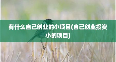 有什么自己创业的小项目(自己创业投资小的项目)