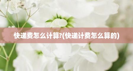 快递费怎么计算?(快递计费怎么算的)