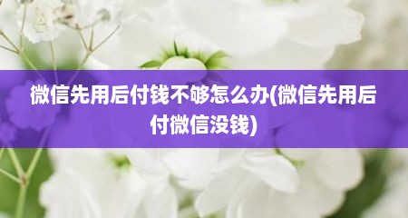 微信先用后付钱不够怎么办(微信先用后付微信没钱)