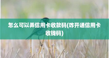 怎么可以弄信用卡收款码(咋开通信用卡收钱码)