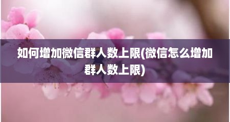 如何增加微信群人数上限(微信怎么增加群人数上限)