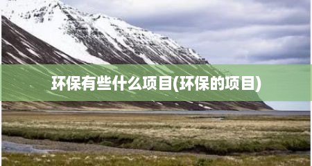 环保有些什么项目(环保的项目)