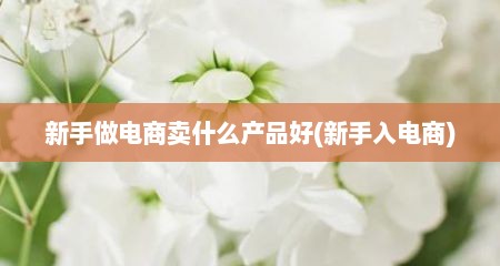 新手做电商卖什么产品好(新手入电商)