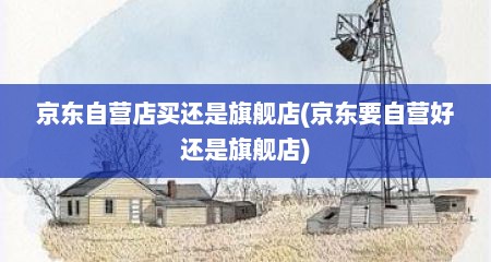 京东自营店买还是旗舰店(京东要自营好还是旗舰店)