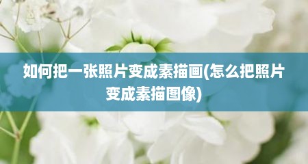 如何把一张照片变成素描画(怎么把照片变成素描图像)