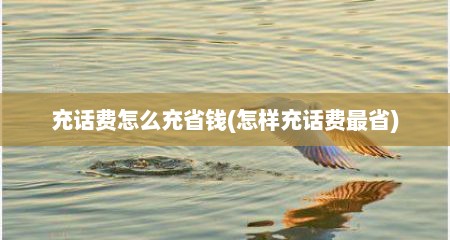 充话费怎么充省钱(怎样充话费最省)