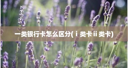 一类银行卡怎么区分(ⅰ类卡ⅱ类卡)
