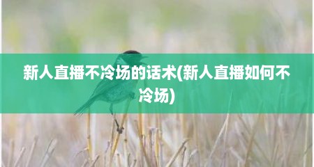 新人直播不冷场的话术(新人直播如何不冷场)