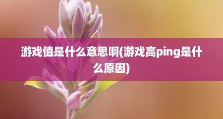 游戏值是什么意思啊(游戏高ping是什么原因)