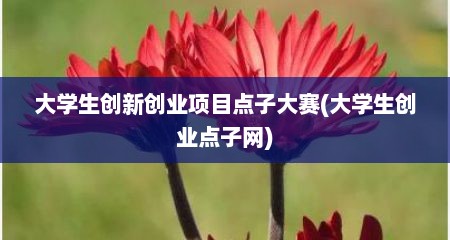 大学生创新创业项目点子大赛(大学生创业点子网)