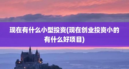 现在有什么小型投资(现在创业投资小的有什么好项目)