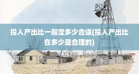 投入产出比一般定多少合适(投入产出比在多少是合理的)