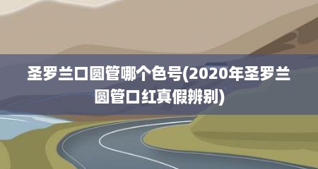 圣罗兰口圆管哪个色号(2020年圣罗兰圆管口红真假辨别)