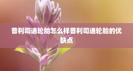 普利司通轮胎怎么样普利司通轮胎的优缺点