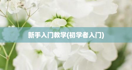 新手入门教学(初学者入门)