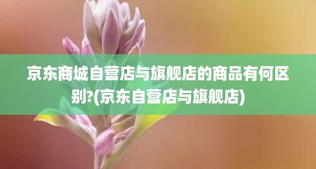 京东商城自营店与旗舰店的商品有何区别?(京东自营店与旗舰店)